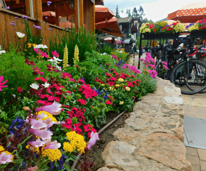 The SmithHonig Summer Road Trip - Onward to Aspen + Vail