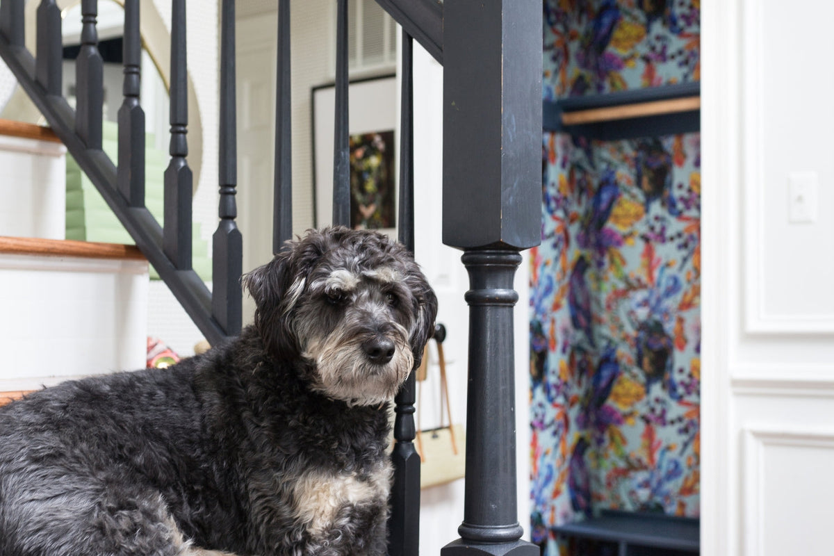peel and stick wallpaper used in a hall closet