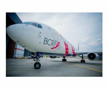 Take Flight for the Fight - Delta Breast Cancer Awareness