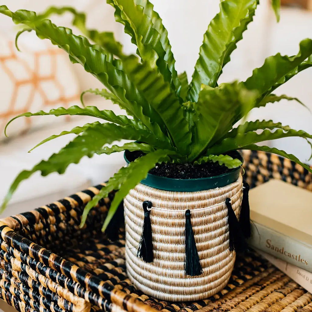 Sutton Woven Storage Basket with Onyx Tassel