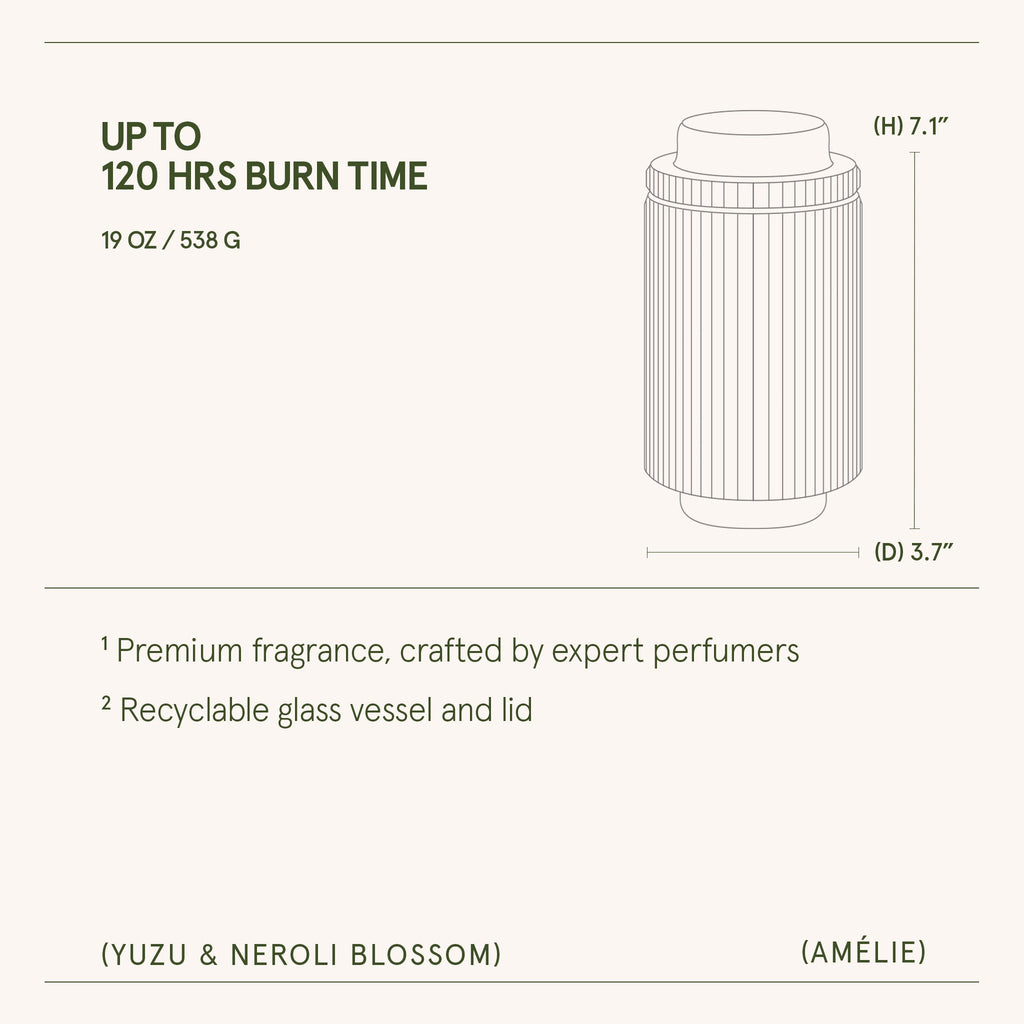 Amélie – Yuzu & Neroli Blossom Candle