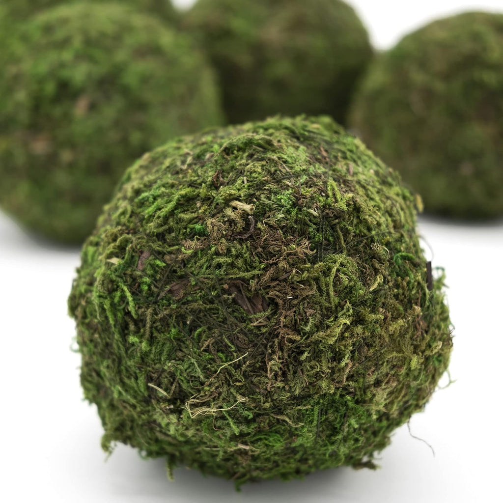 4" Moss Balls (set of 6)