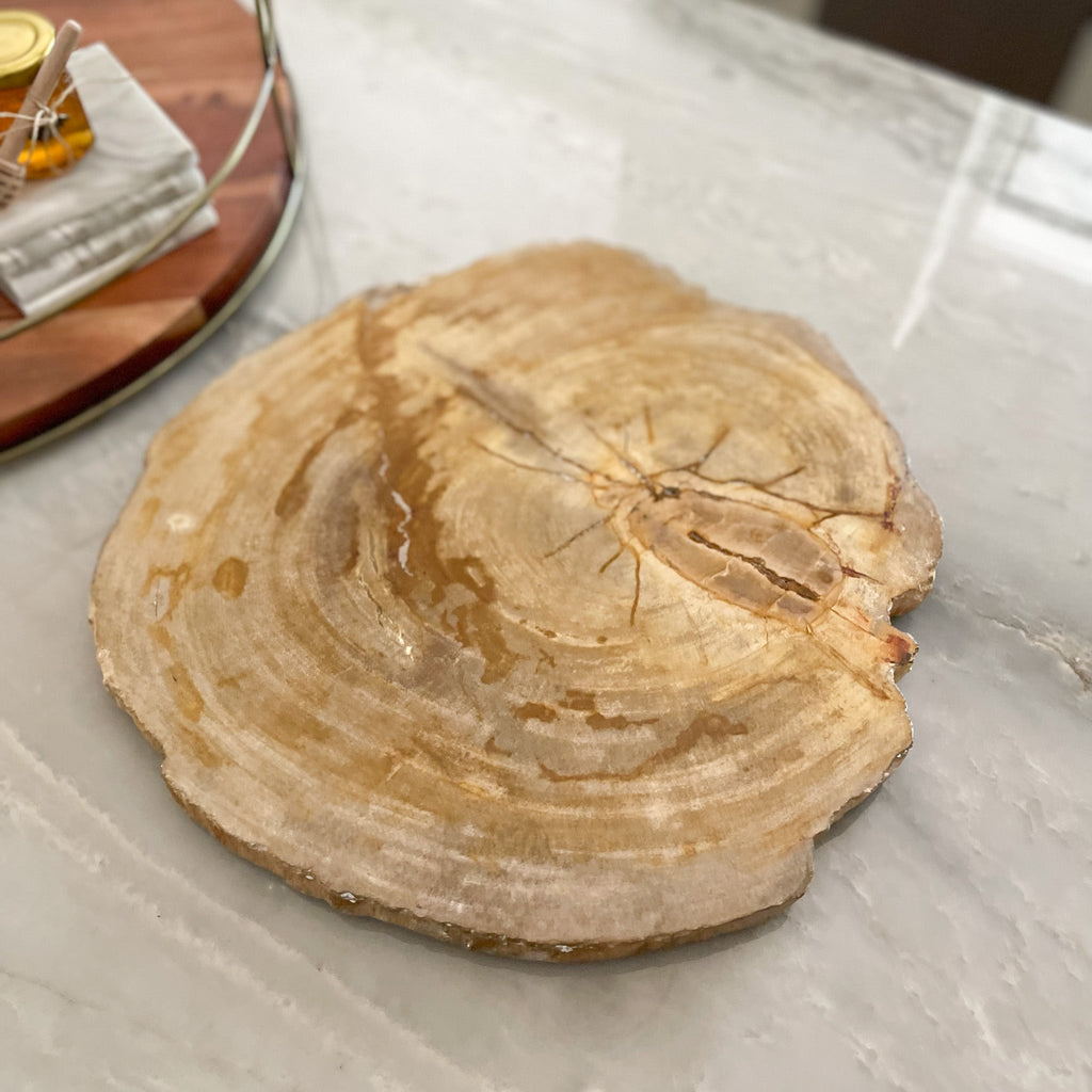 Natural Edge Petrified Wood Serving Board