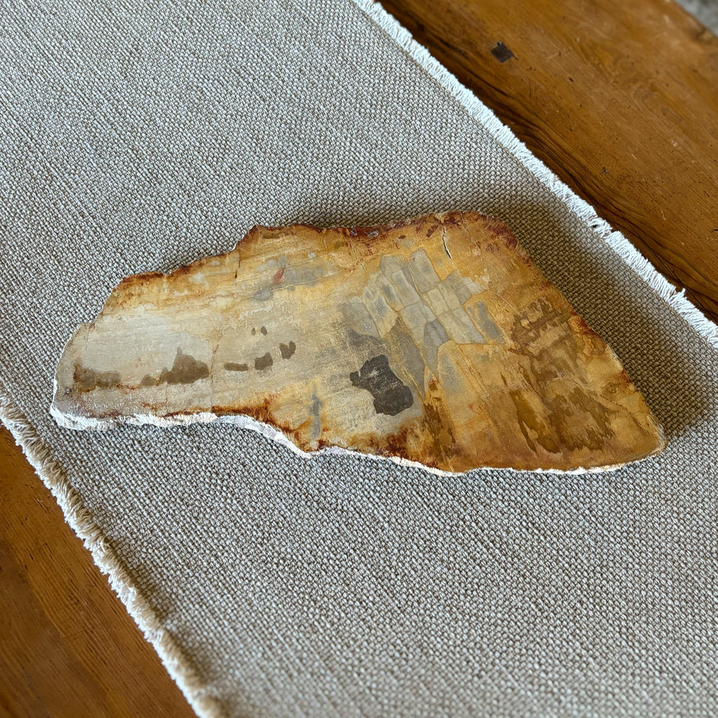 Natural Edge Petrified Wood Serving Board