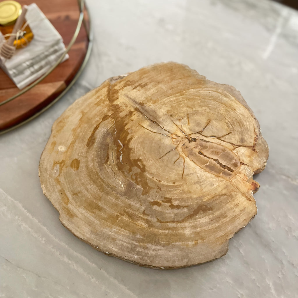 Natural Edge Petrified Wood Serving Board