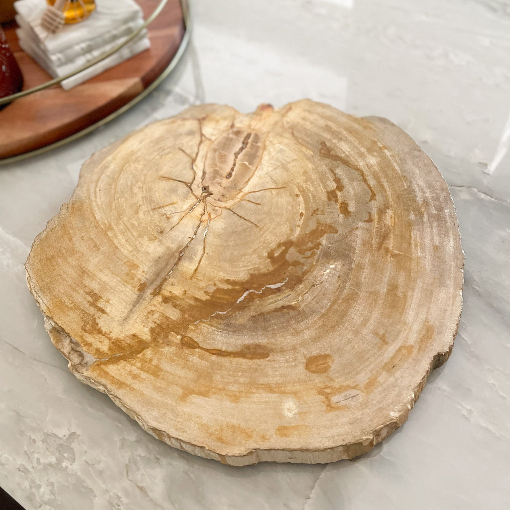 Natural Edge Petrified Wood Serving Board