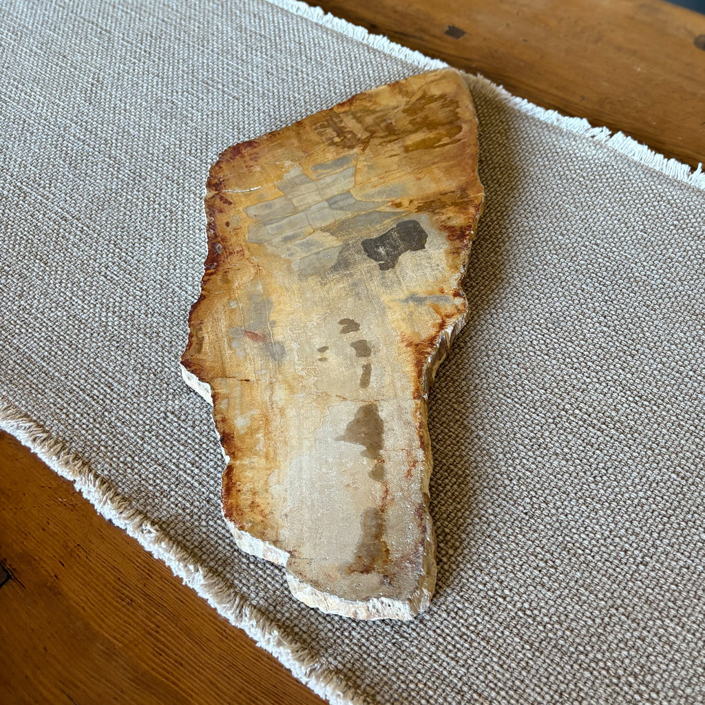 Natural Edge Petrified Wood Serving Board