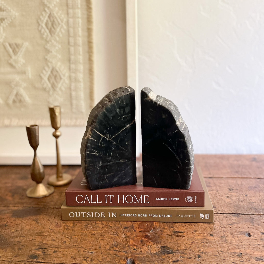 Petrified Wood Bookend Pair