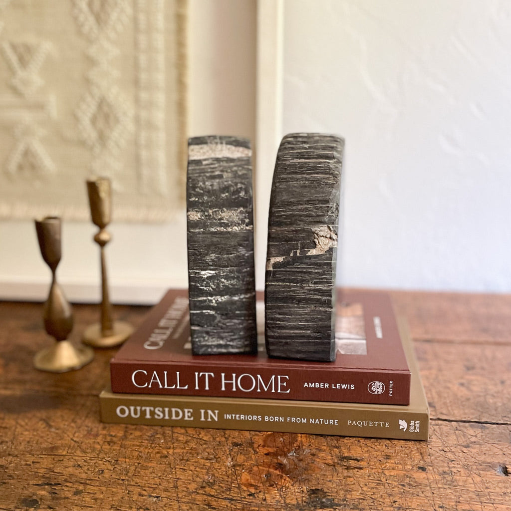 Petrified Wood Bookend Pair