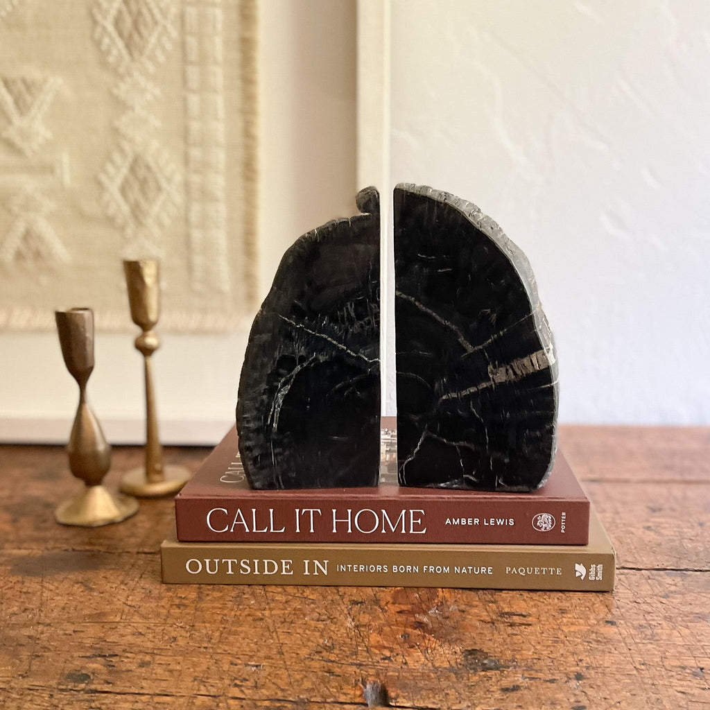 Petrified Wood Bookend Pair