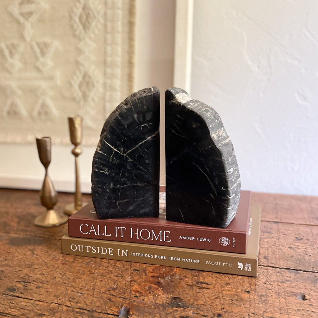 Petrified Wood Bookend Pair