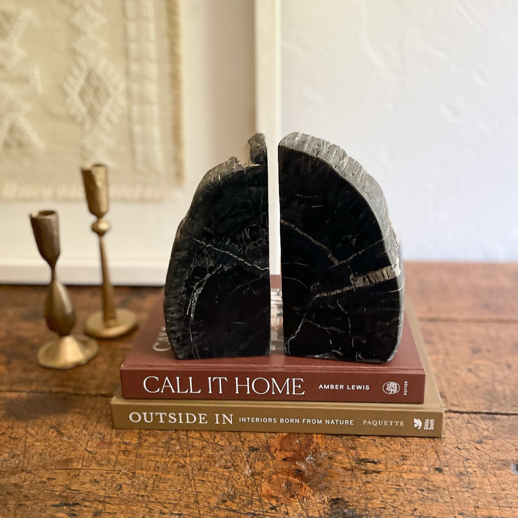 Petrified Wood Bookend Pair