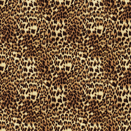 Peel and Stick Wallpaper - Fancy Pants / Bob - SmithHönig Peel and Stick Wallpaper