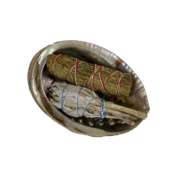 Natural Abalone Shell with Sage and Cedar