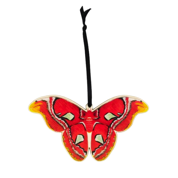 Atlas Moth Hanging Ornament